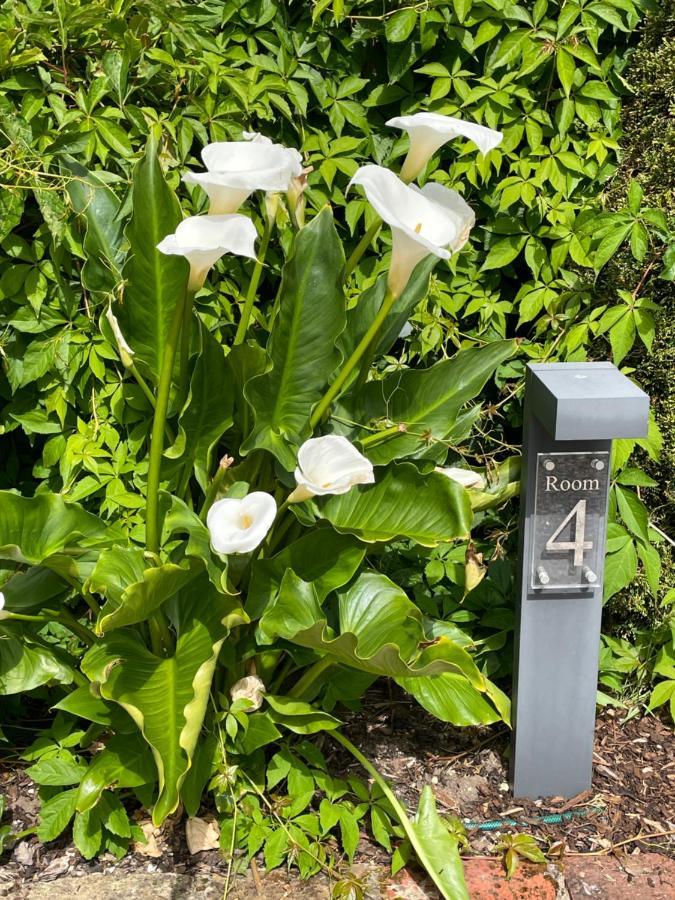 Bradleigh Lodge St Austell Luaran gambar